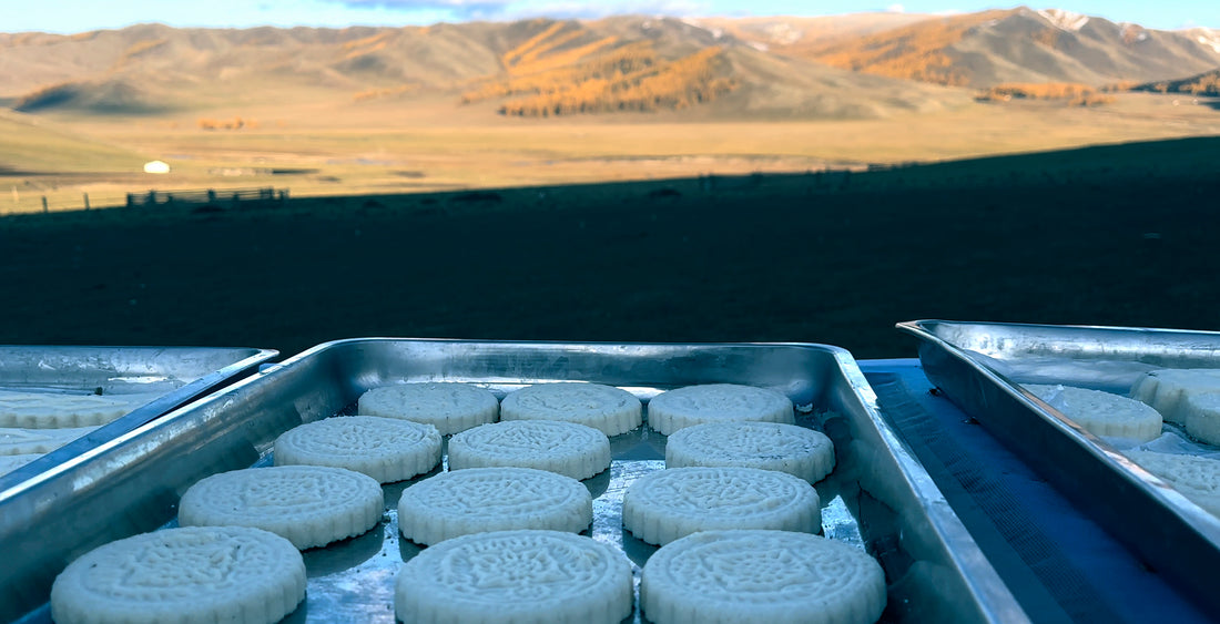 A warm Welcome! Traditional snacks and Most delicious Mongolian foods